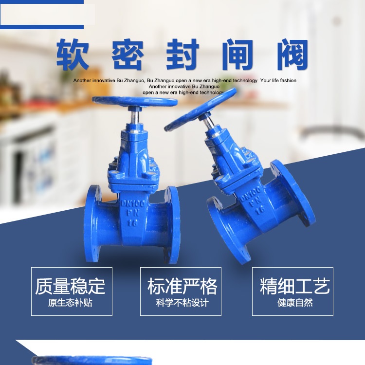冠龙闸阀